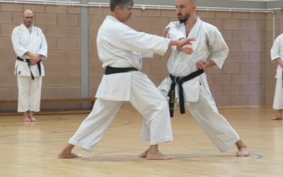 Sensei Marc Stevens, Karate Course Nov 2024