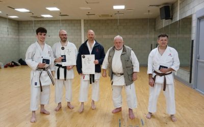 Grading with Sensei Dirk Heene November 2024